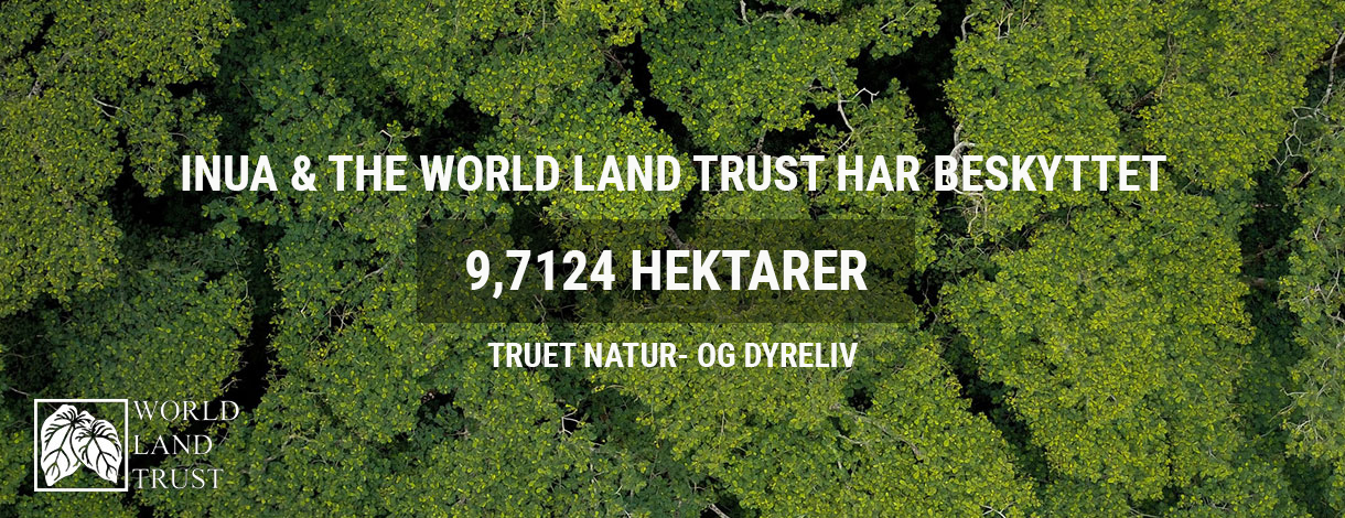 banner-world-land-trust-template