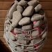 inua-udendoers-sauna-1224
